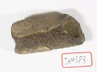 藏品(不明骨)的圖片